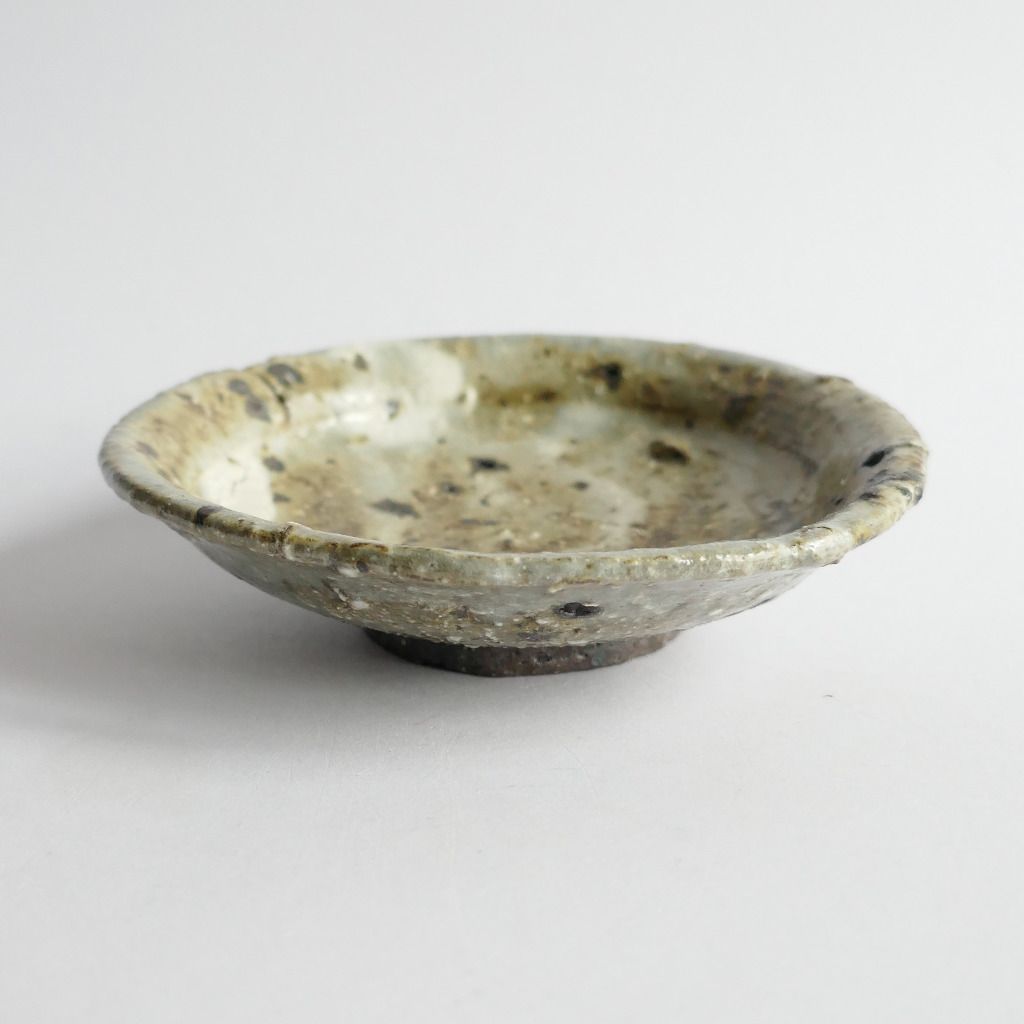 Motoyuki TONOIKE 外池素之 (2025)2 - Collection Personnelle