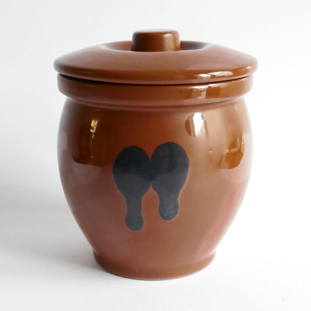 Tokoname-yaki POT T-10 (2025) - Collection Personnelle